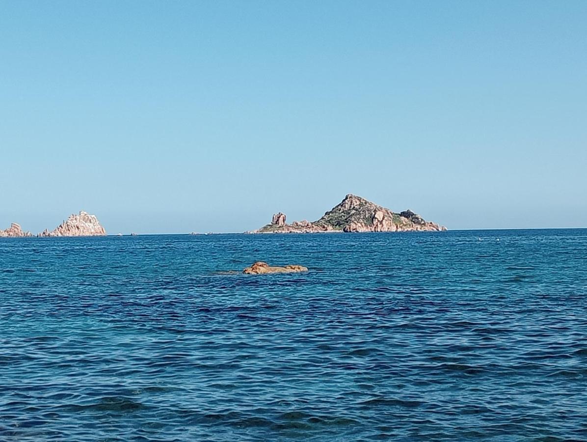 Casa de hóspedes D'ogliastra, Triei