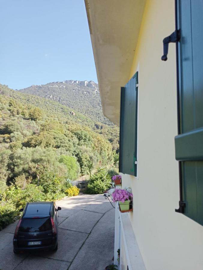 D'ogliastra, Triei