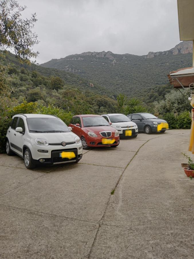 D'ogliastra, Triei