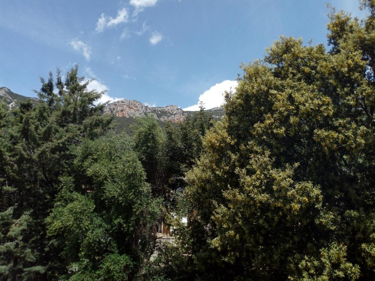 D'ogliastra, 2*