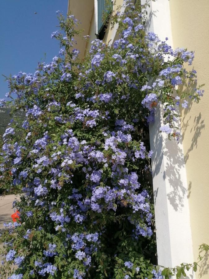 Guest house D'ogliastra,