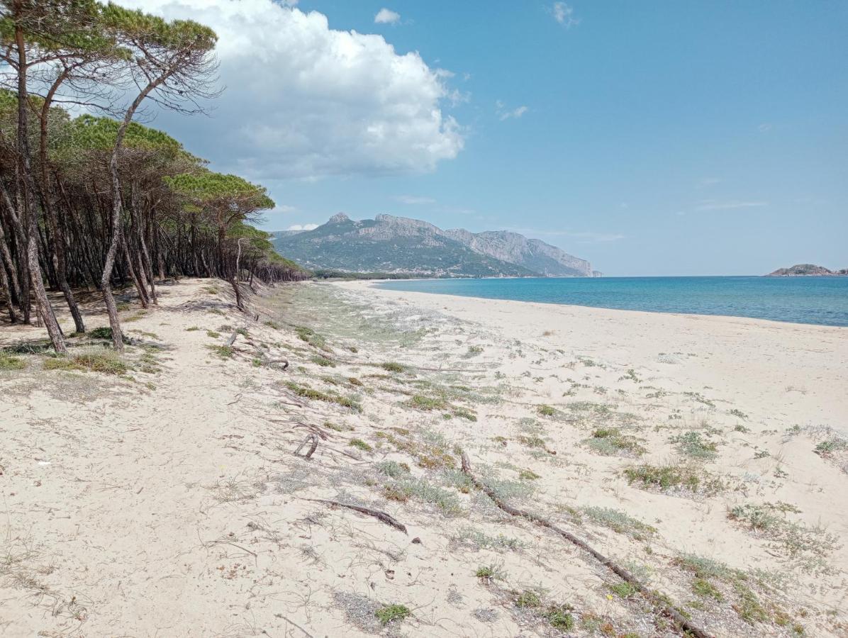 Guest house D'ogliastra,