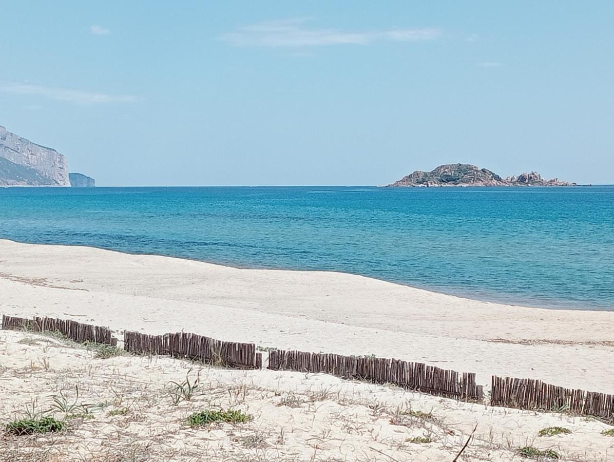 Locanda D'ogliastra, Eco Friendly Pensión Triei