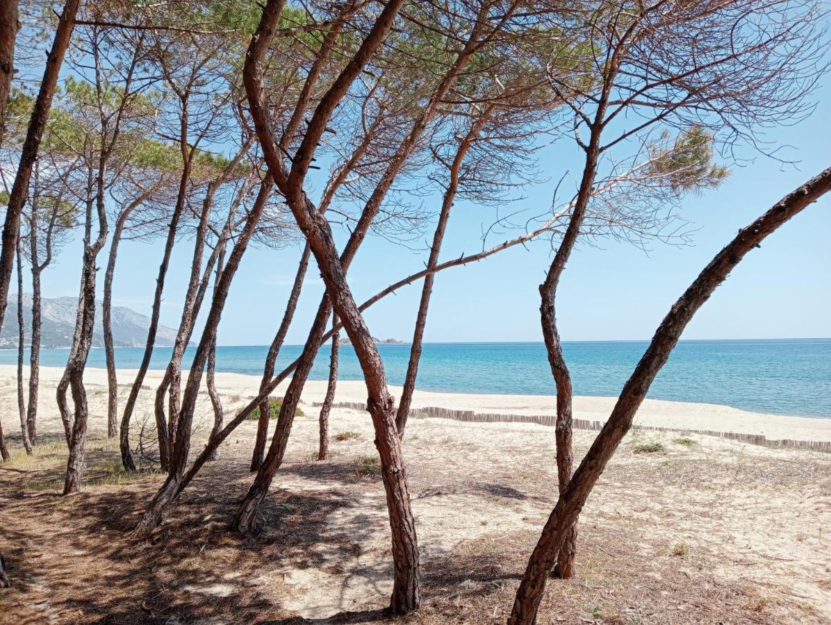 Guest house D'ogliastra, 2*