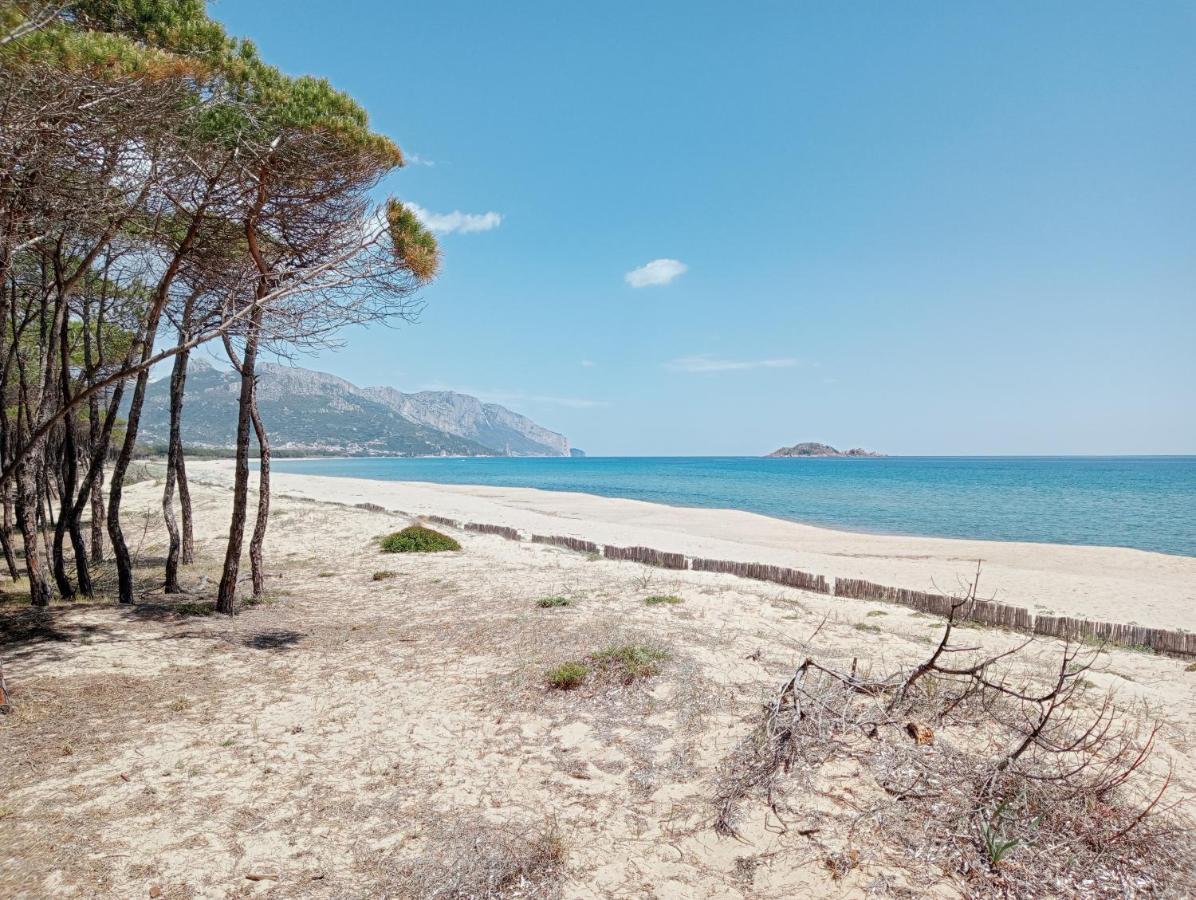 Guest house D'ogliastra, 2*