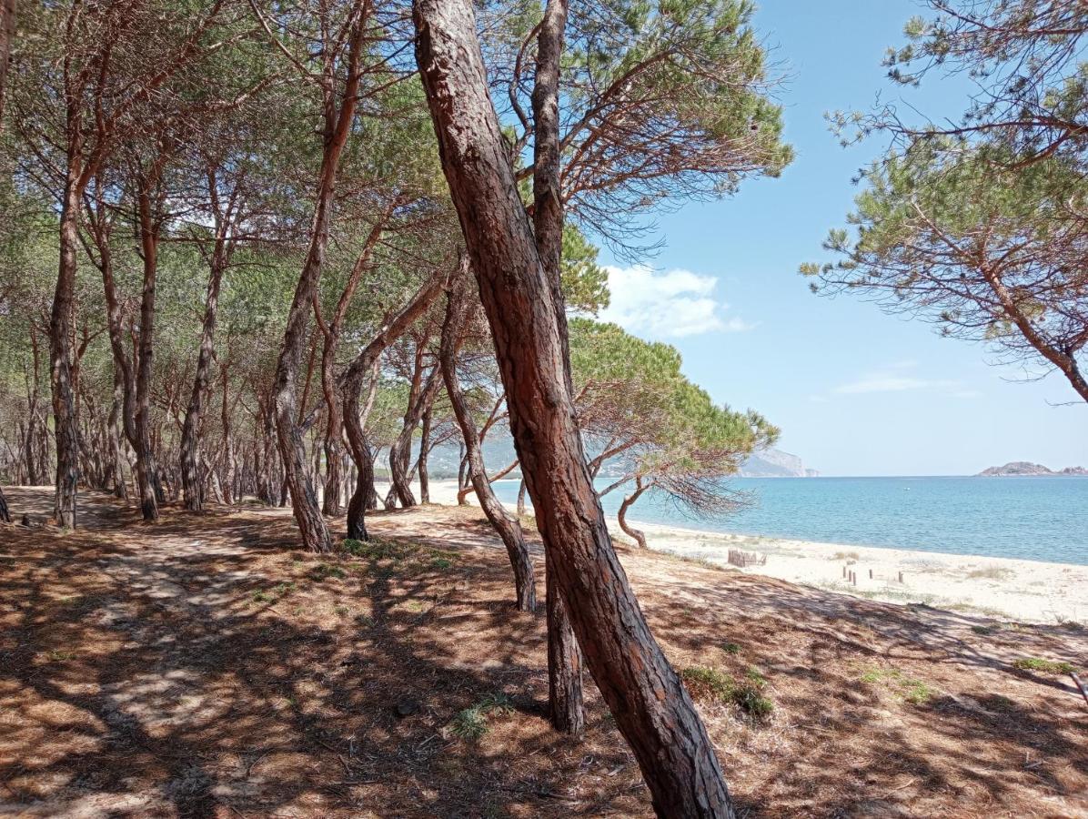 Gasthof D'ogliastra,