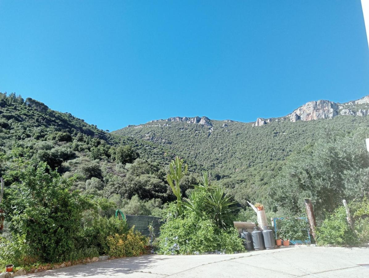 D'ogliastra, 2*